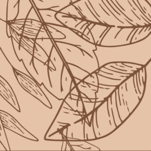 September 2025 Newsletter