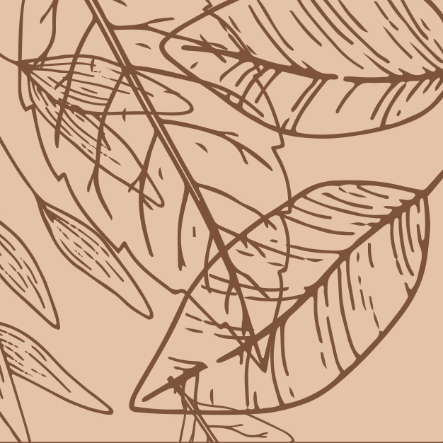 September 2025 Newsletter