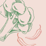 August 2025 Newsetter