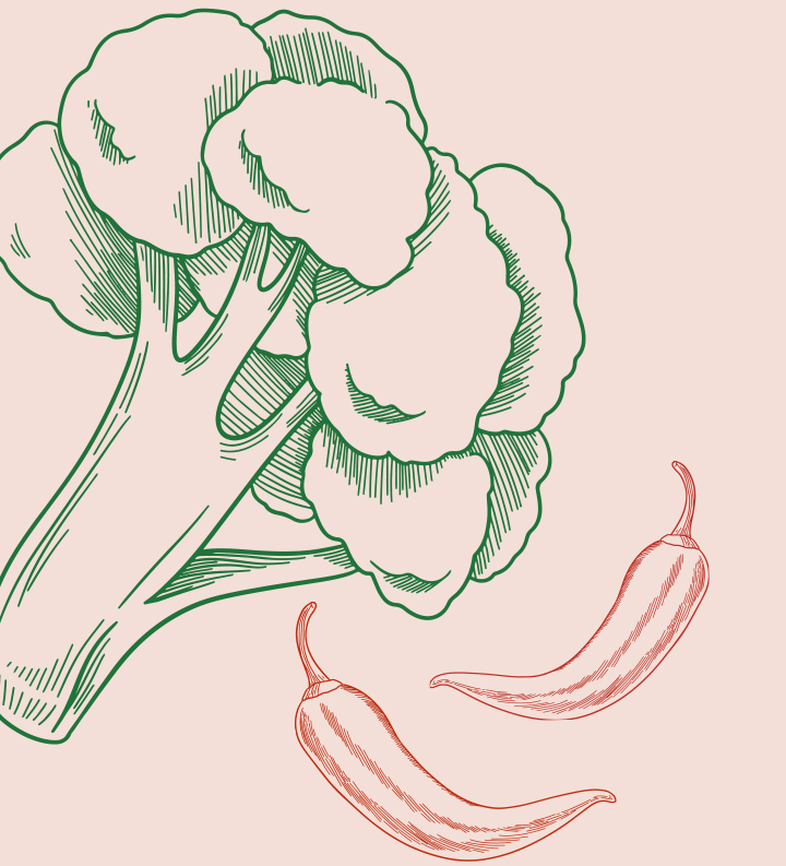 August 2025 Newsetter